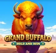 Grand Buffalo Hold and Win